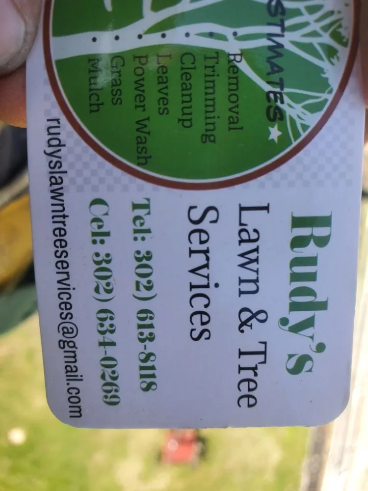 Professional lawn care service for year-round maintenance across Newark, DE - Rudy's Lawn & Trees Services