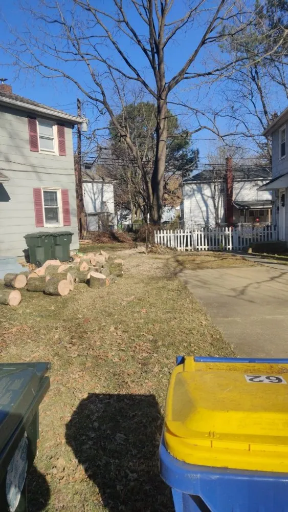 Reliable yard cleanup service with custom design in Newark, DE by Rudy's Lawn & Trees Services