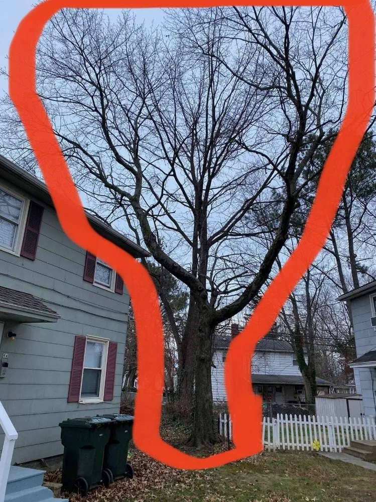 Expert landscape design experts serving Newark, DE - Rudy's Lawn & Trees Services