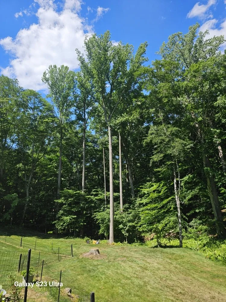 Local garden landscaping for beautiful yards in Newark, DE by Rudy's Lawn & Trees Services