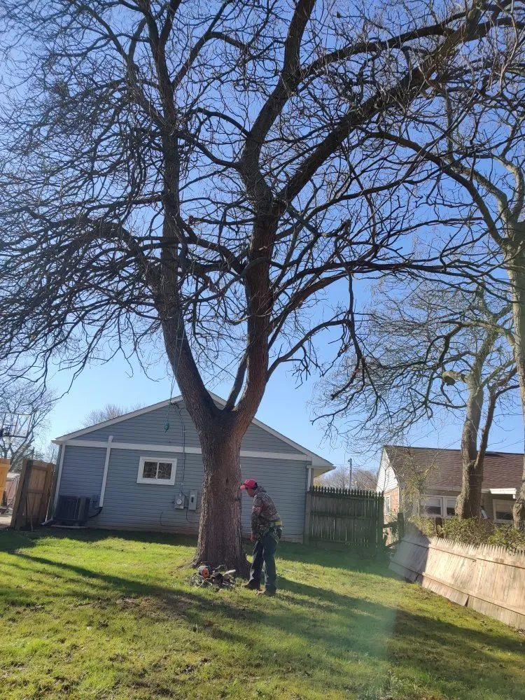 Local yard maintenance for outdoor upgrades across Newark, DE - Rudy's Lawn & Trees Services