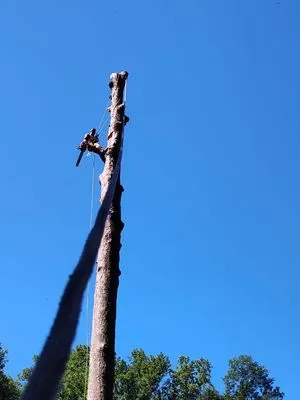 Rudy's Lawn & Trees Services Logo