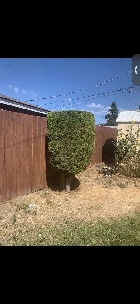 Top-rated lawn care service in Yakima, WA - Rudy's Lawn Care