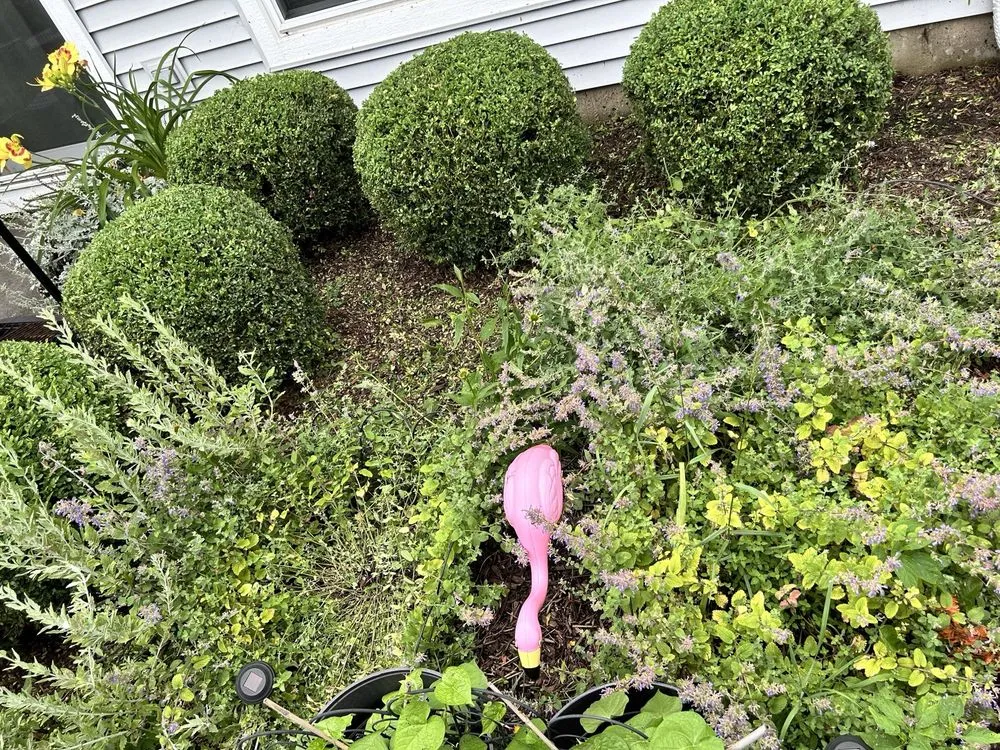 Local yard maintenance for residential properties across Island Lake, IL - Rudy's Lawn Service