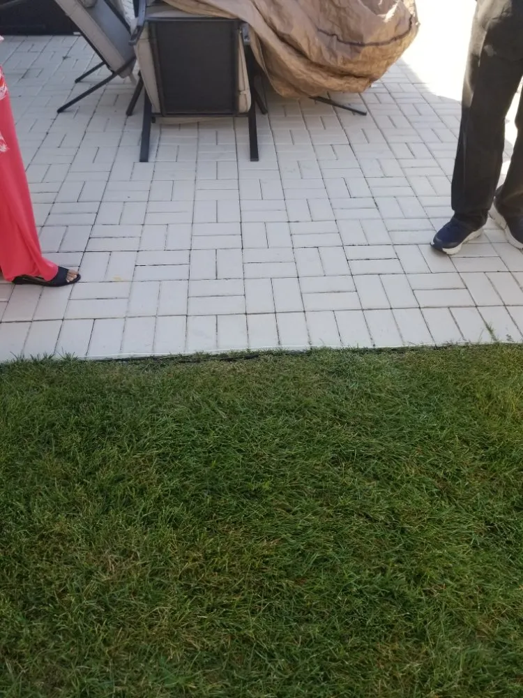 Expert yard cleanup service in Chicago Heights, IL - Rudy's Pavers & Landscaping