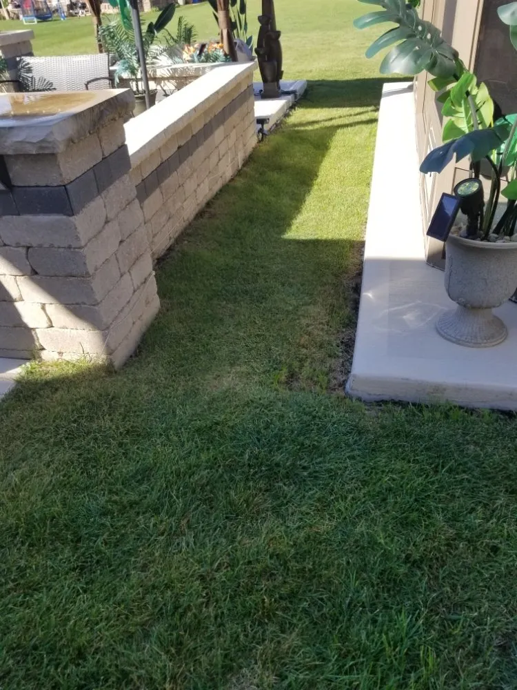 Reliable yard maintenance in Chicago Heights, IL - Rudy's Pavers & Landscaping