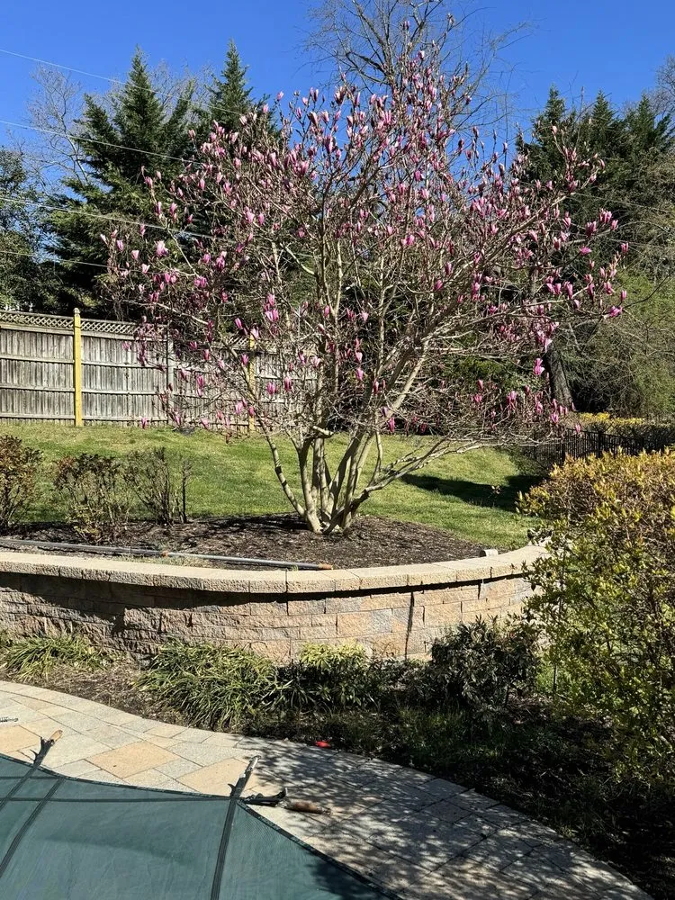 Affordable landscape design experts serving Annapolis, MD - Rudys Paving & Landscaping