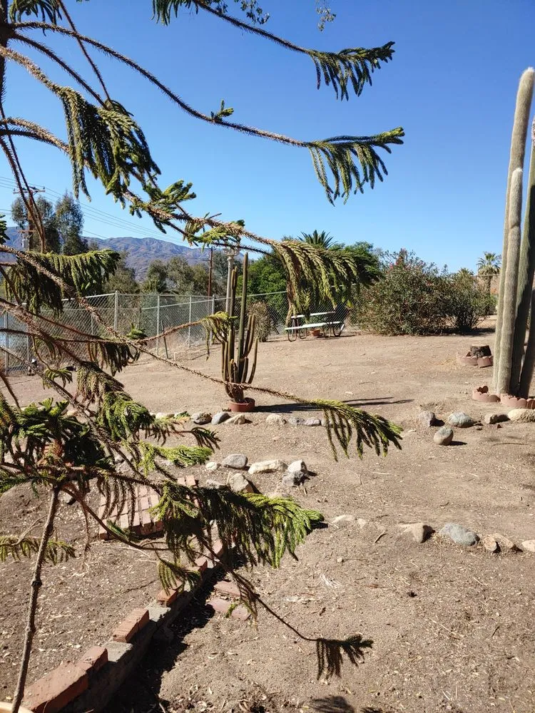 Expert residential landscaping in Wildomar, CA - Rudy's Tree Service & Landscaping