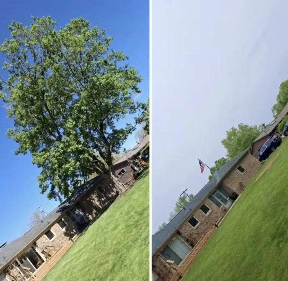 Expert landscaping services in Lansing, MI - Rudy's Tree Service