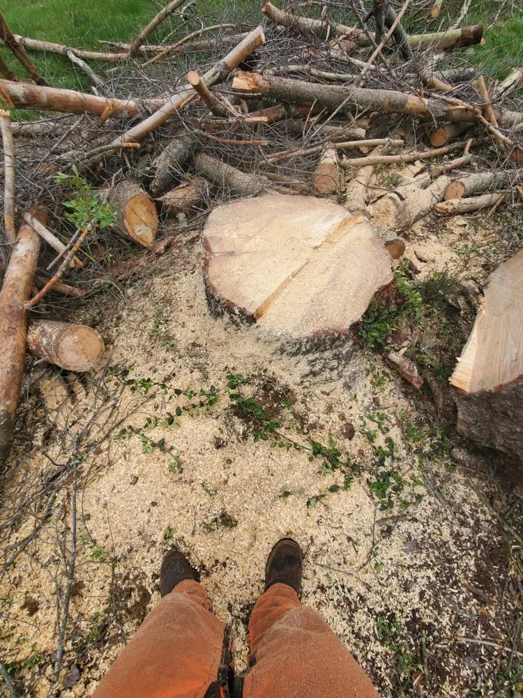 Affordable lawn mowing service for beautiful yards in Shelbyville, KY by Rudy's Tree Service