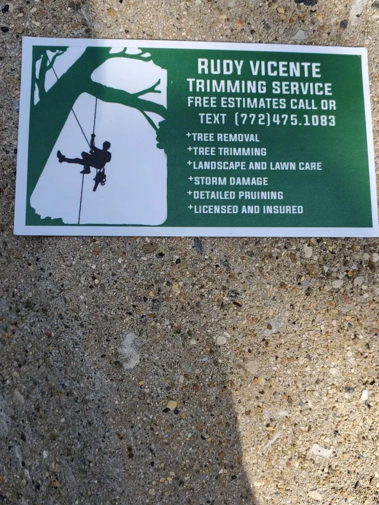 Local yard cleanup service in Shelbyville, KY by Rudy's Tree Service