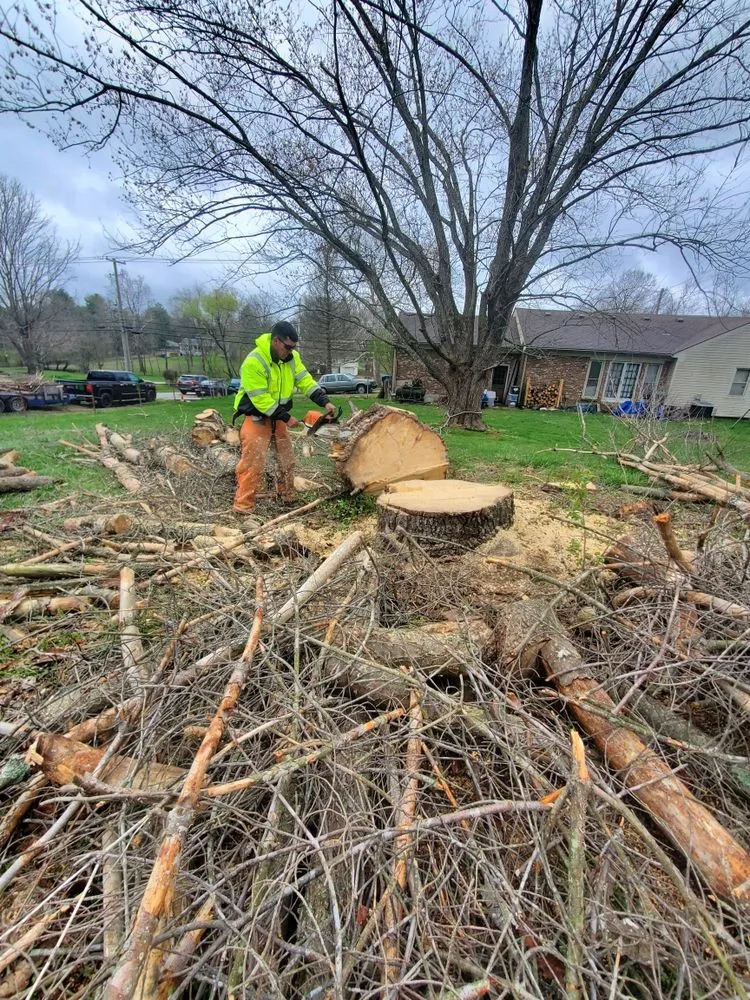Trusted landscape installation in Shelbyville, KY - Rudy's Tree Service