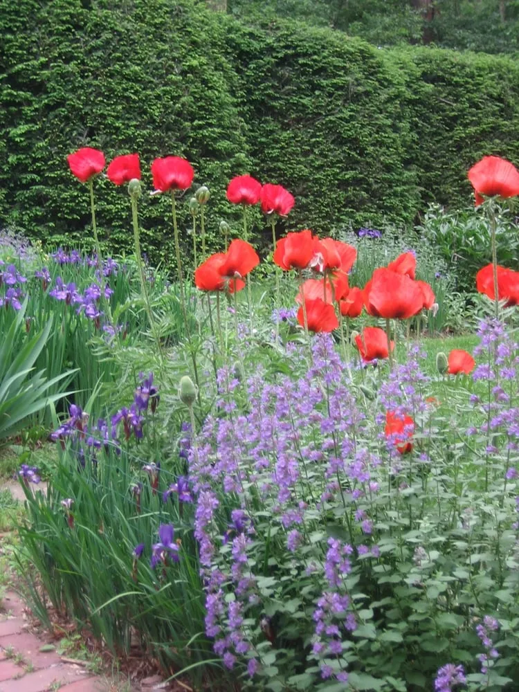 Top-rated outdoor landscaping experts serving Ipswich, MA - Rue Sherwood Landscape Design