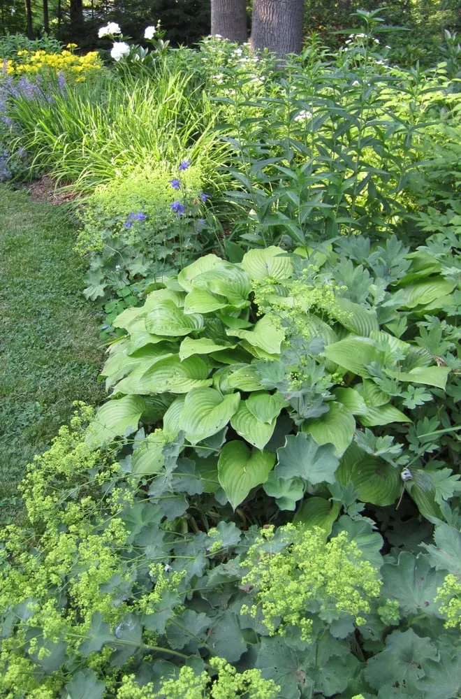 Trusted landscape installation for year-round maintenance in Ipswich, MA by Rue Sherwood Landscape Design