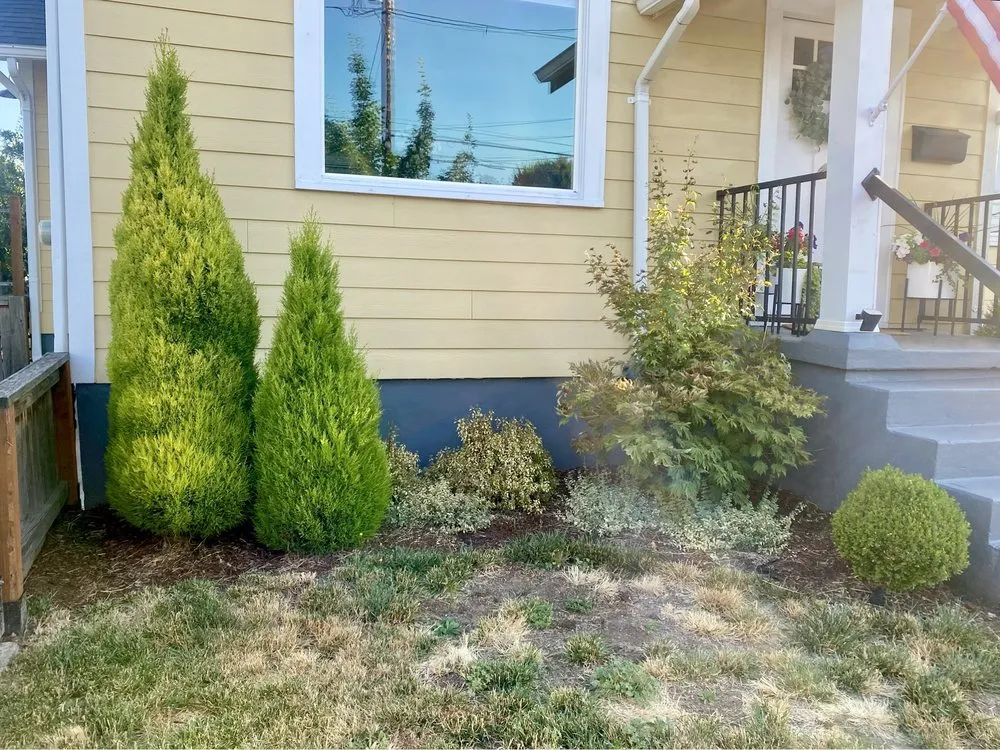 Custom yard maintenance experts serving Beaverton, OR - Rueda Landscape