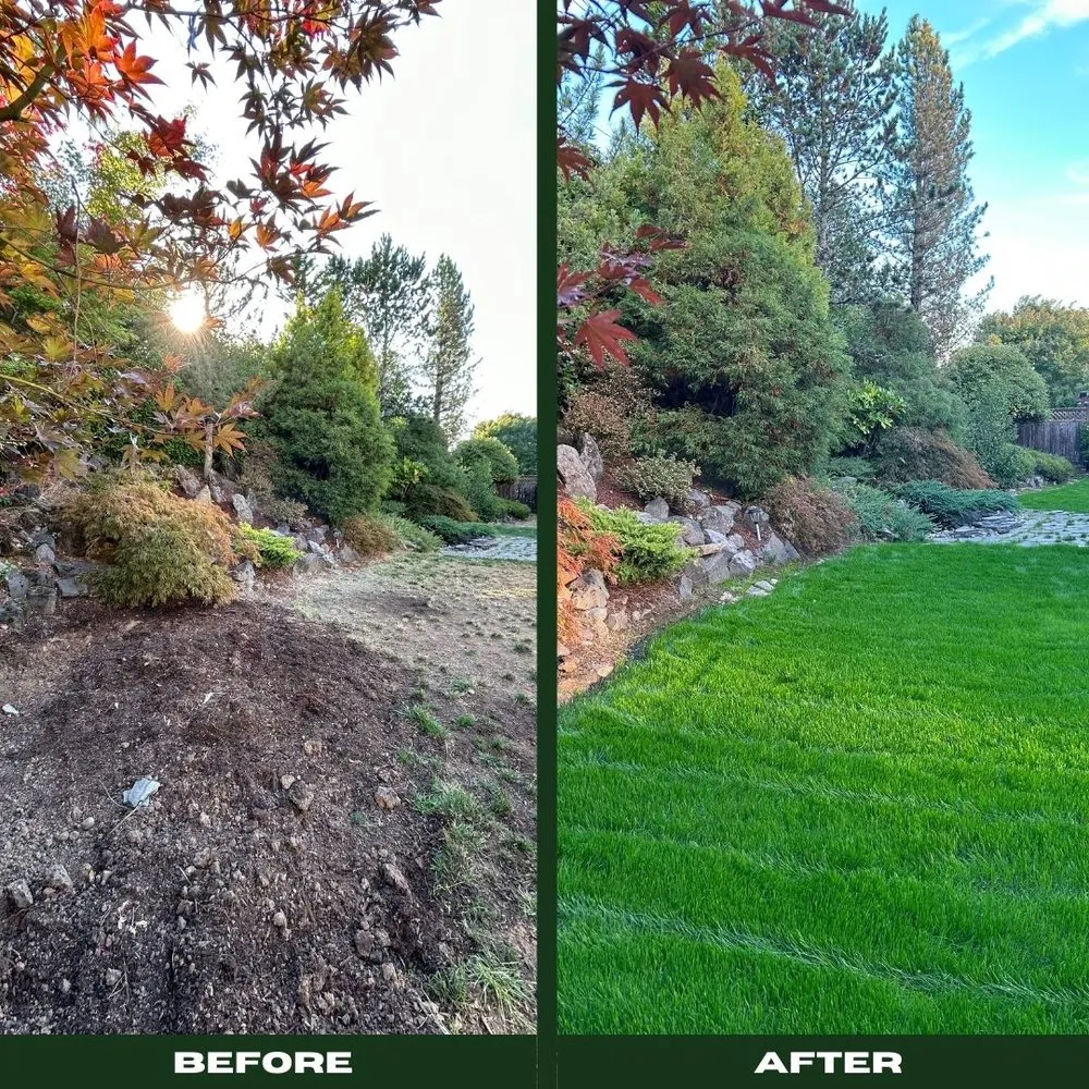 Expert landscape installation for beautiful yards across Beaverton, OR - Rueda Landscape