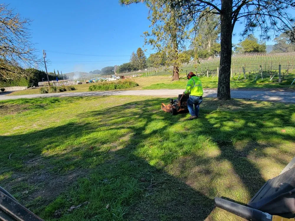 Top-rated landscape installation in Sonoma, CA by Ruedas Construction