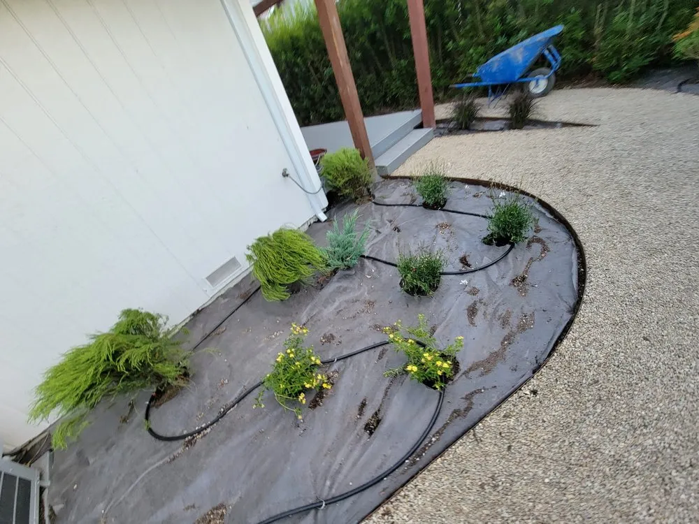 Professional landscaping services in Sonoma, CA - Ruedas Construction