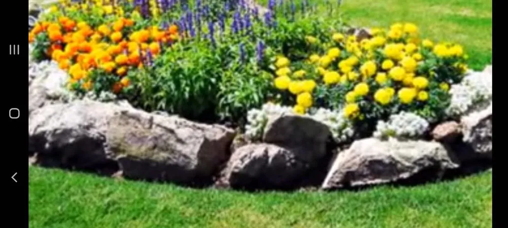 Trusted landscaping services in Sonoma, CA by Ruedas Construction