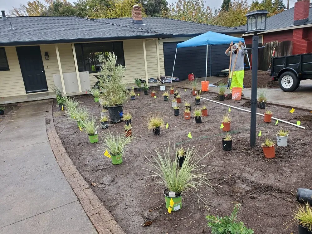 Local yard cleanup service experts serving Sonoma, CA - Ruedas Construction