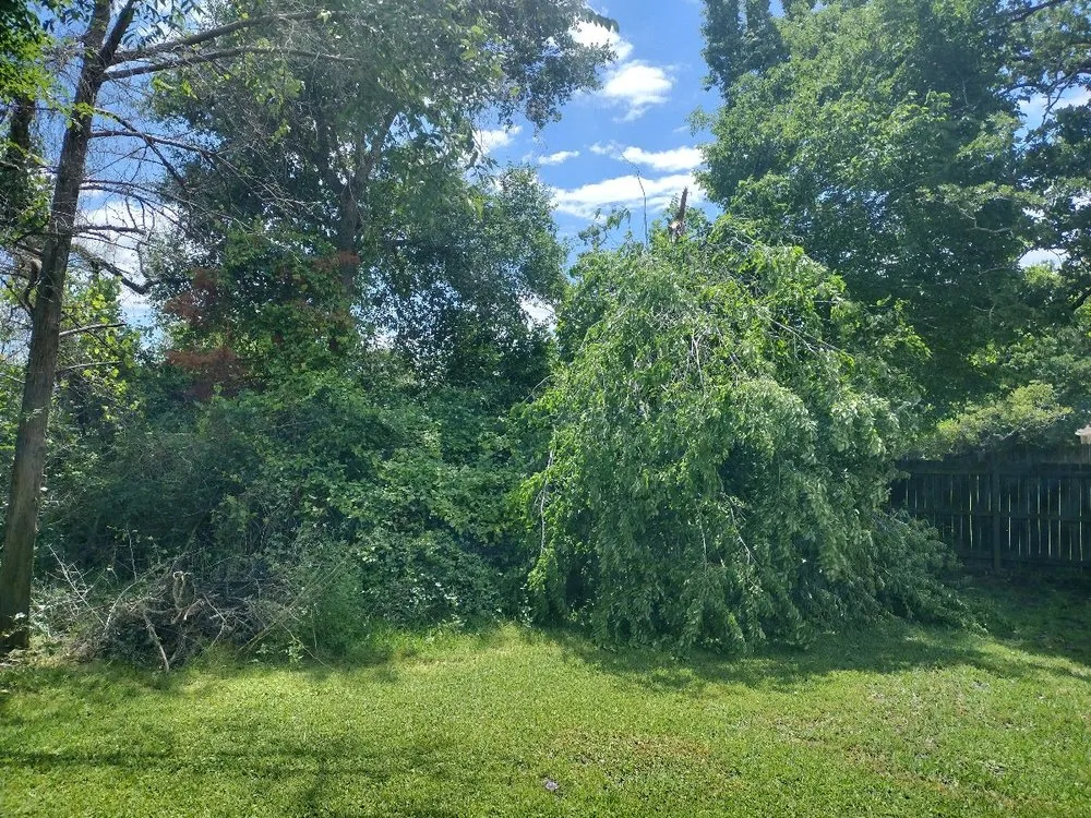 Top-rated landscape design with custom design in Bryan, TX by Rueda's L&M Services