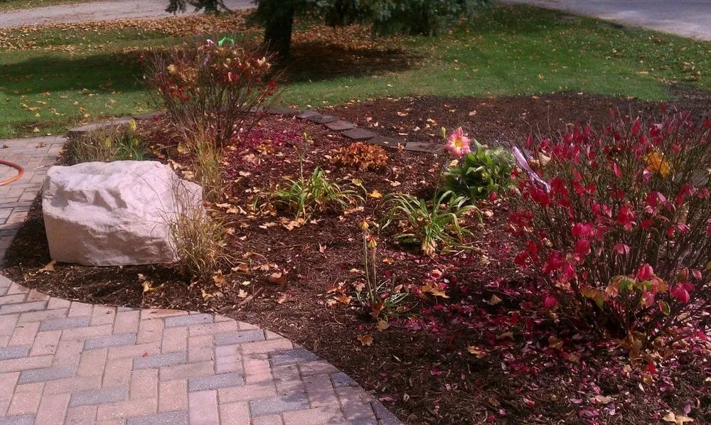 Trusted yard cleanup service in Elkhorn, WI - Ruehl Services