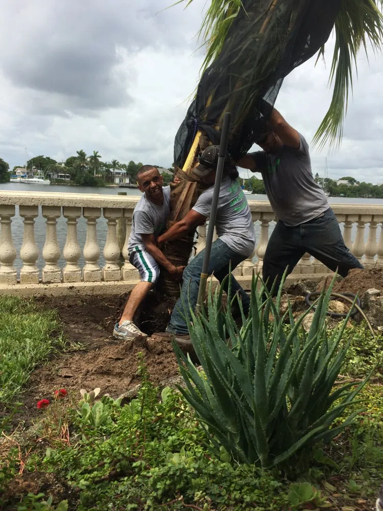 Expert yard cleanup service in Palm Bay, FL - Ruel Funelas Inc