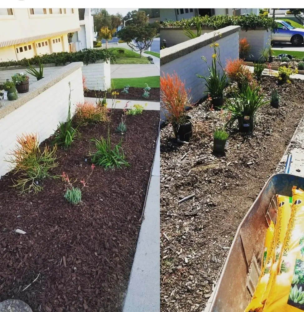 Local landscape design in Carson, CA - Ruelas Landscape