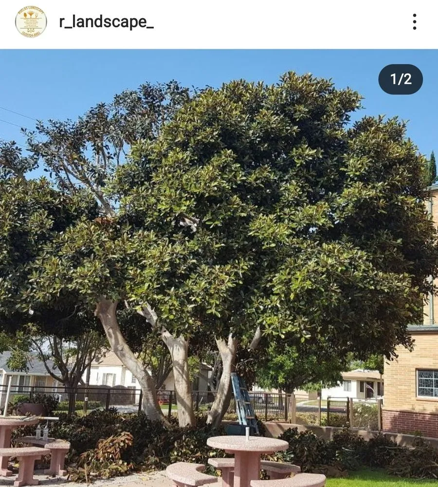 Reliable garden landscaping in Carson, CA - Ruelas Landscape