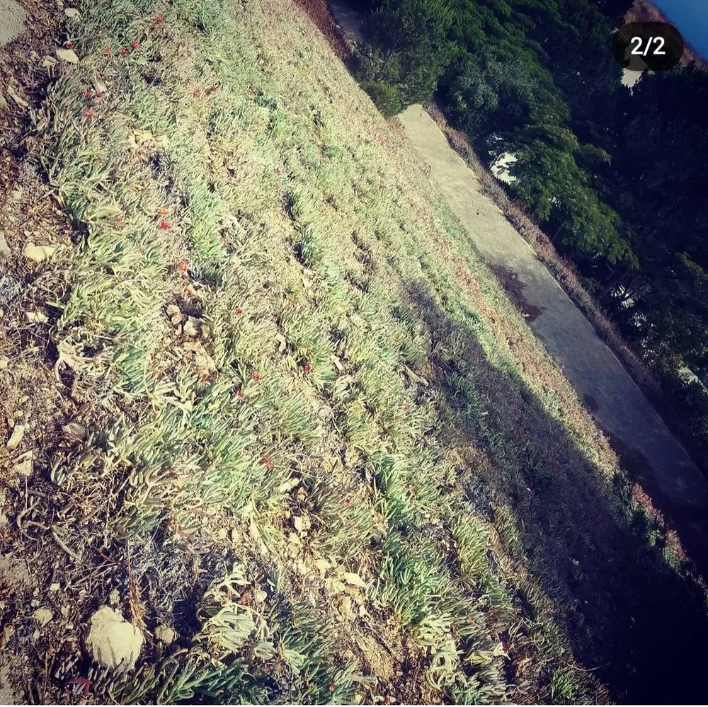 Custom garden landscaping near you across Carson, CA - Ruelas Landscape