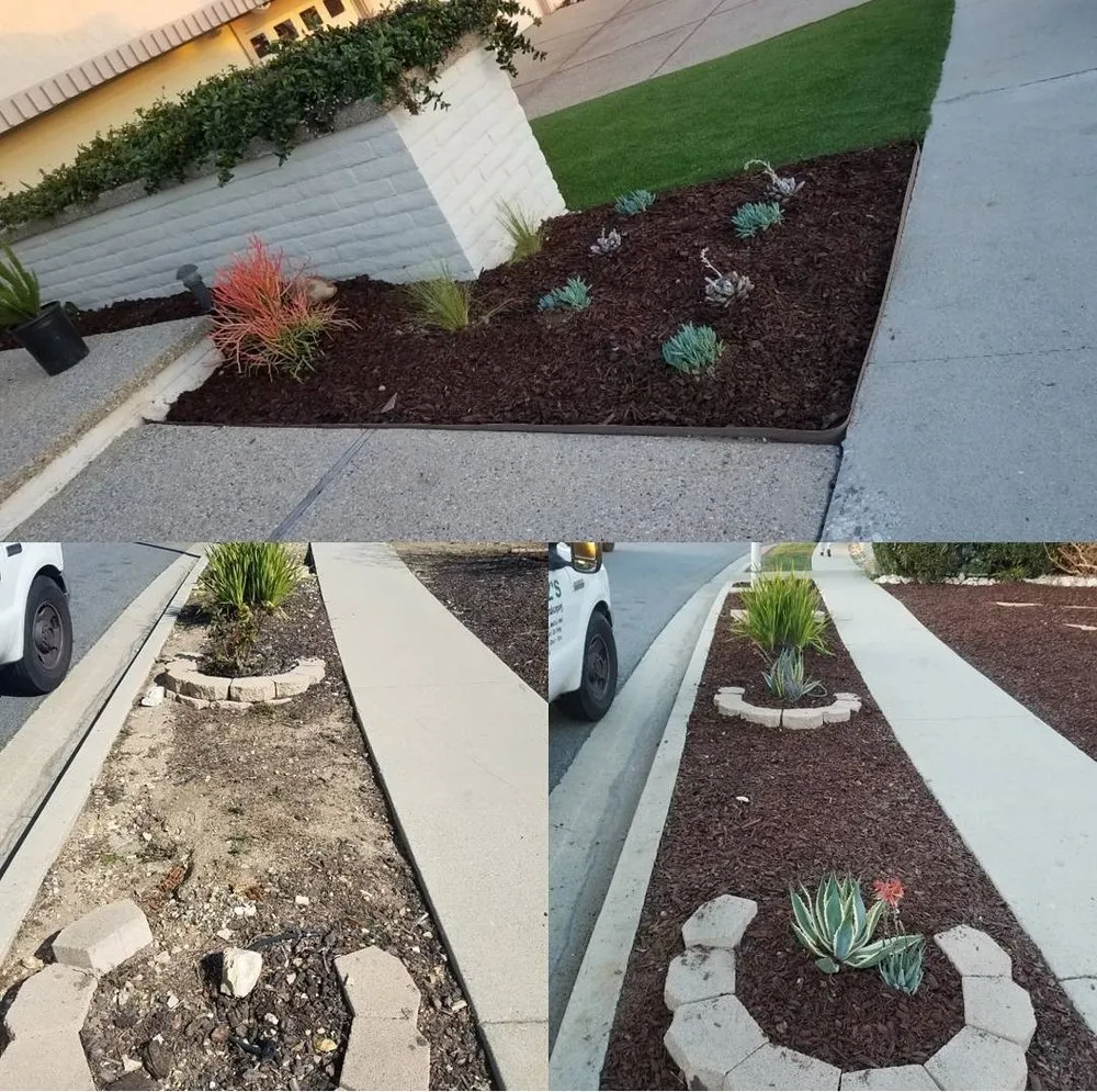 Trusted yard maintenance in Carson, CA by Ruelas Landscape