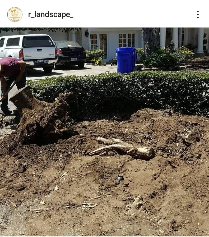 Expert yard maintenance for outdoor upgrades in Carson, CA by Ruelas Landscape