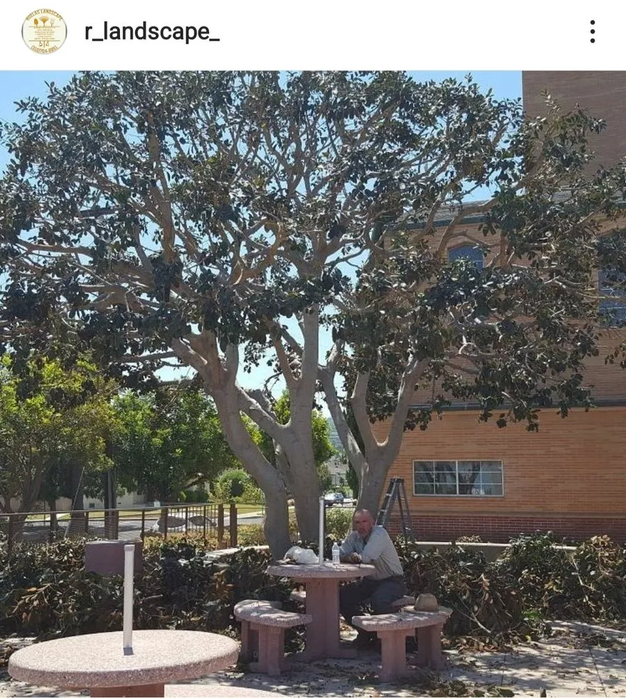 Custom residential landscaping for homes in Carson, CA by Ruelas Landscape