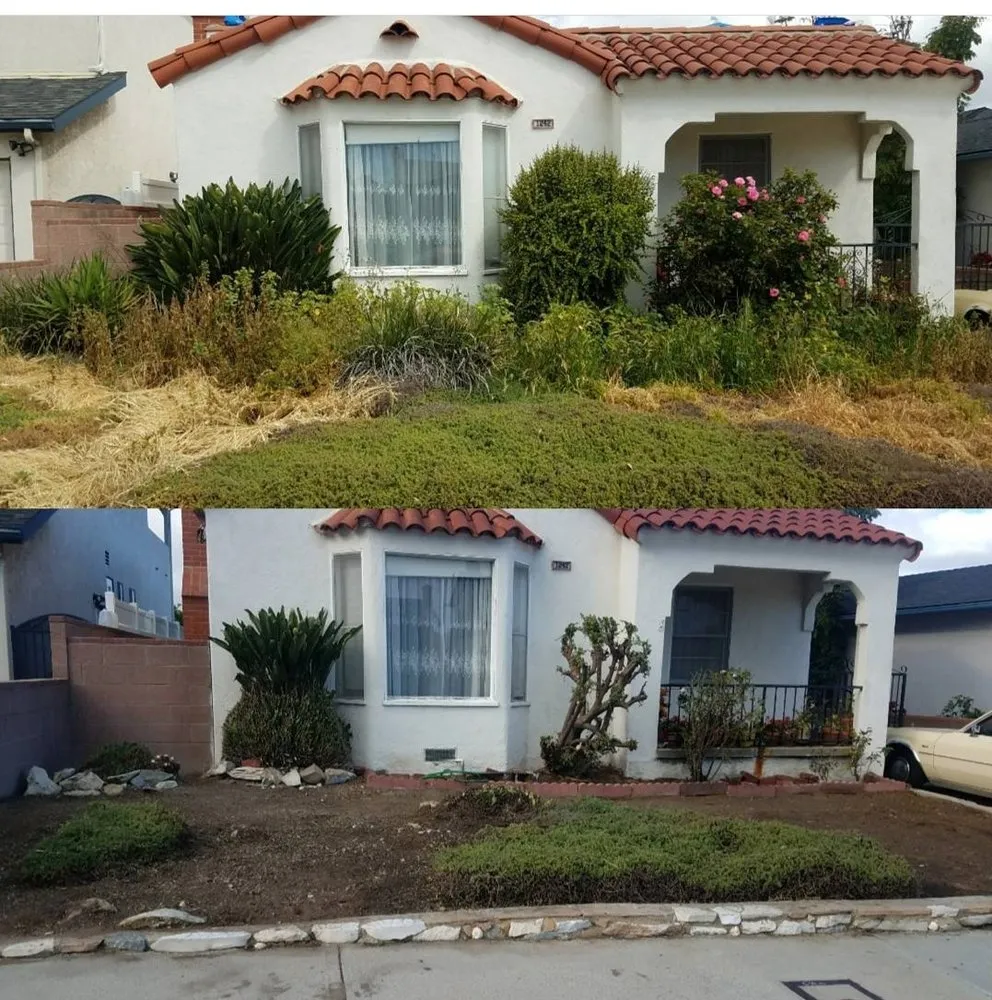 Top-rated lawn care service in Carson, CA by Ruelas Landscape