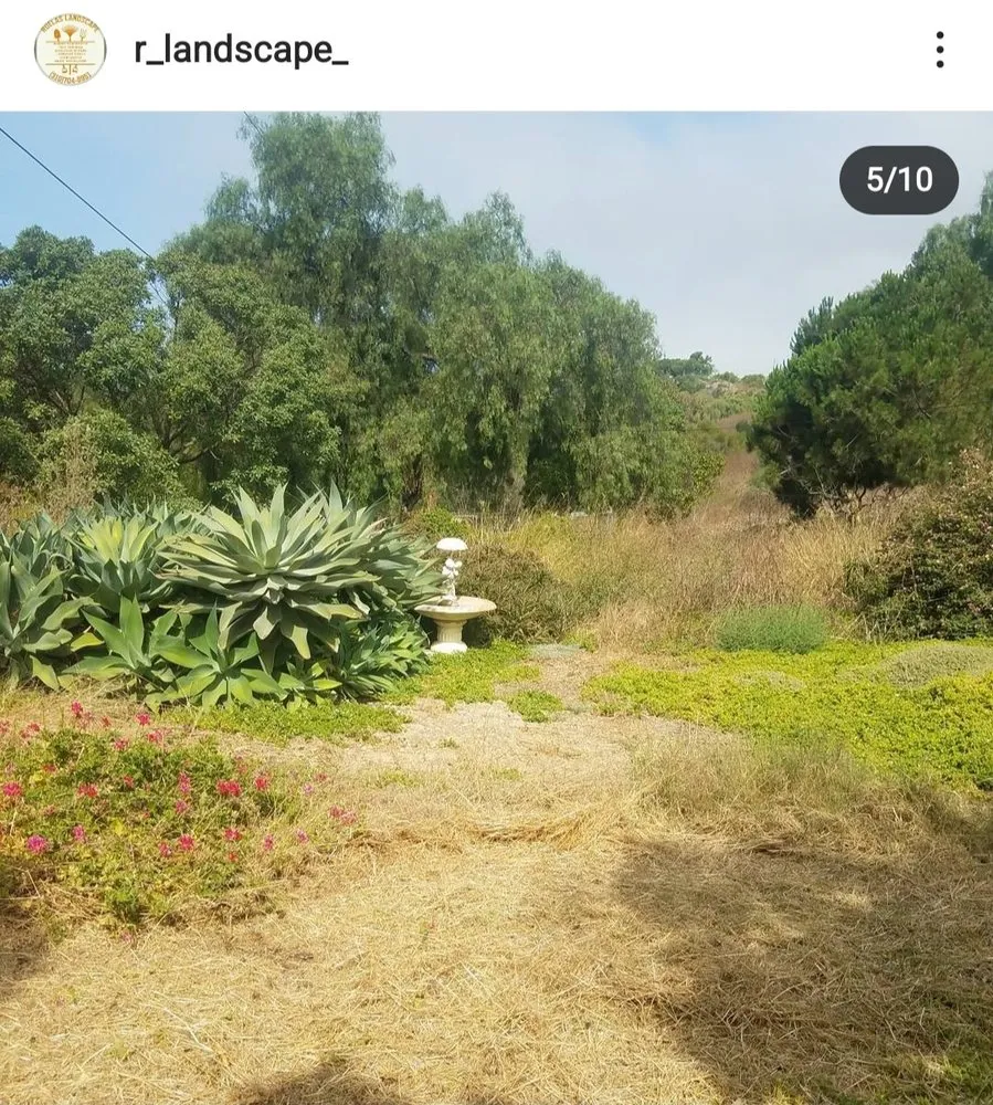 Top-rated residential landscaping for homes in Carson, CA by Ruelas Landscape