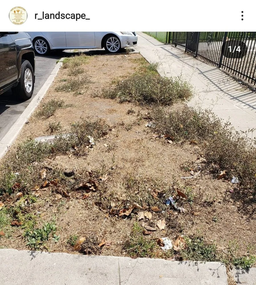 Professional lawn care service with custom design in Carson, CA by Ruelas Landscape