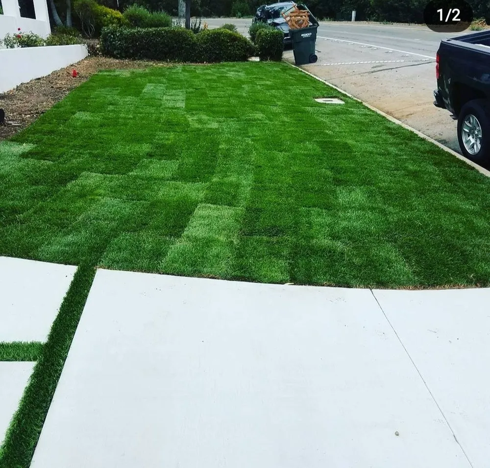 Local yard cleanup service in Carson, CA by Ruelas Landscape