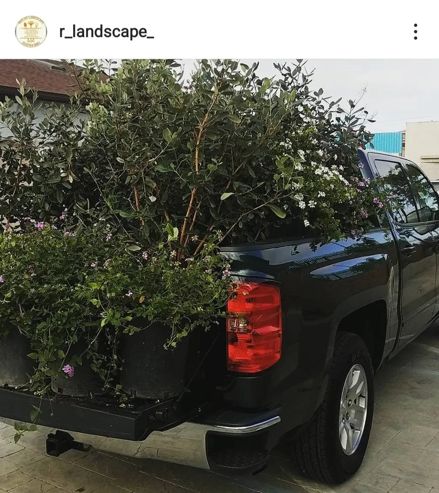 Expert residential landscaping with custom design across Carson, CA - Ruelas Landscape