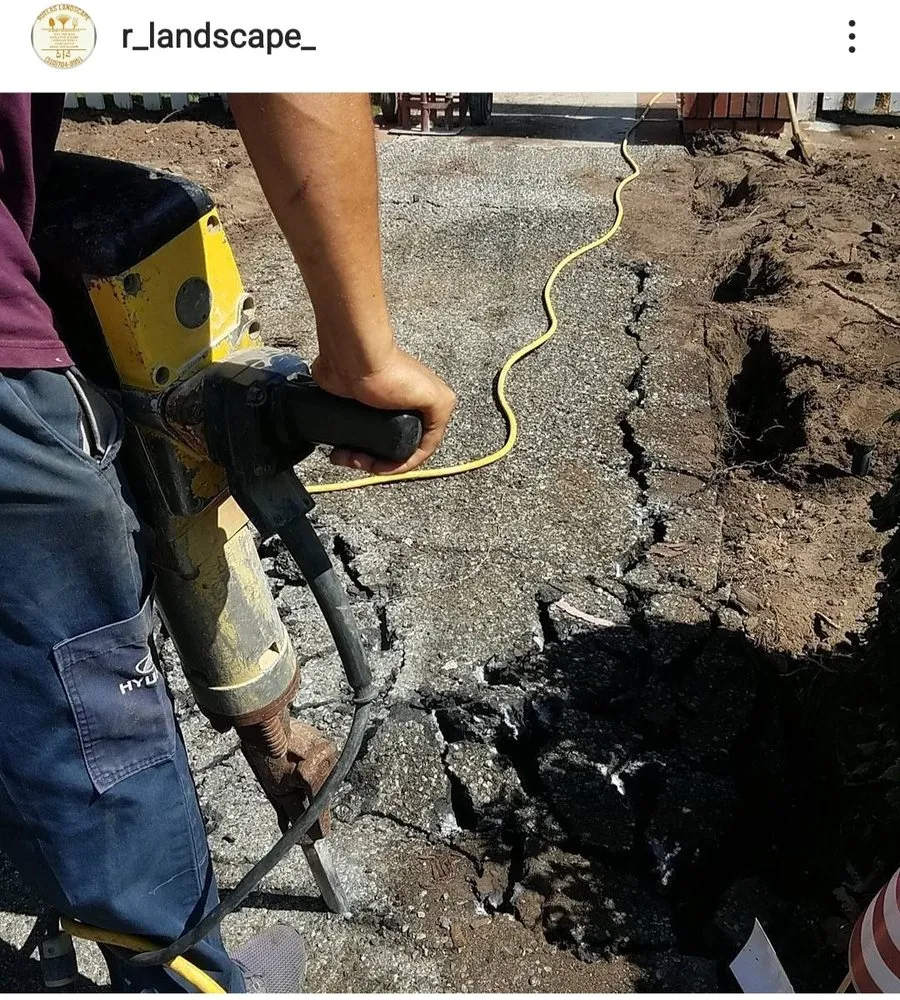 Trusted yard cleanup service in Carson, CA by Ruelas Landscape