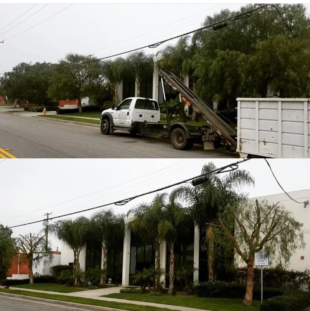 Reliable landscape installation in Carson, CA by Ruelas Landscape