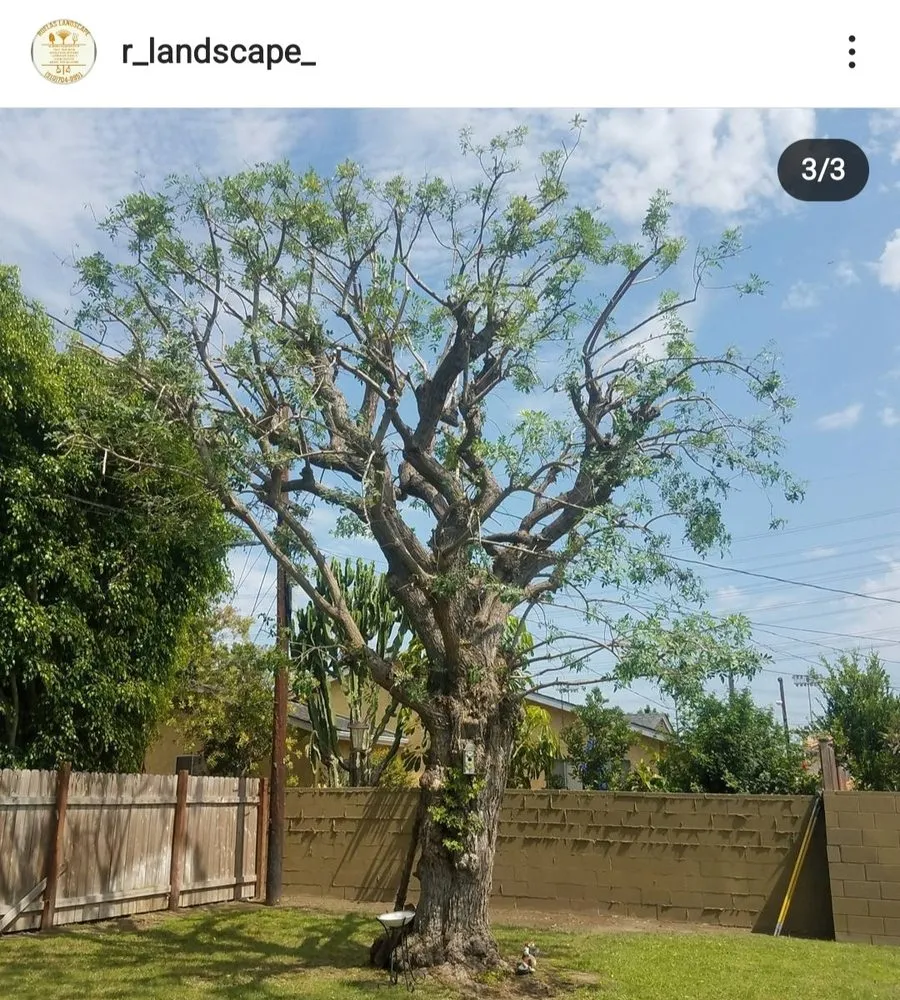 Expert garden landscaping in Carson, CA - Ruelas Landscape