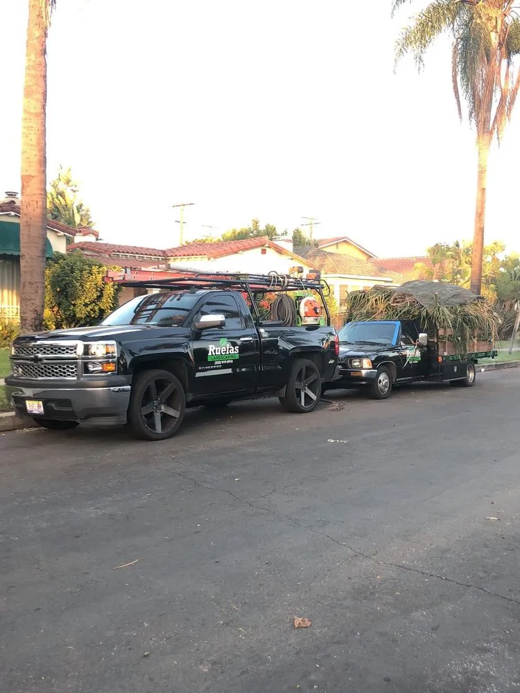 Custom landscaping services experts serving Los Angeles, CA - Ruelas Landscaping