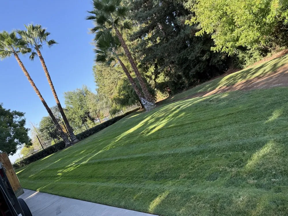 Reliable lawn care service near you in Modesto, CA by Ruelas Lawn Care & Landscaping