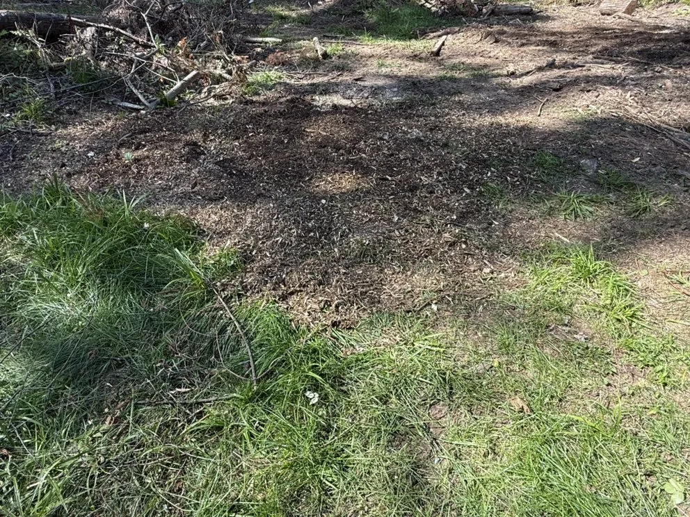 Custom lawn care service in Harshaw, WI - Ruff Cut Lawn And Property Services