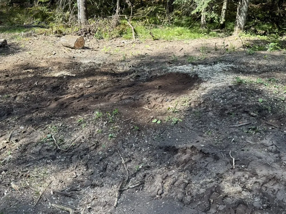 Expert landscaping services for beautiful yards in Harshaw, WI by Ruff Cut Lawn And Property Services