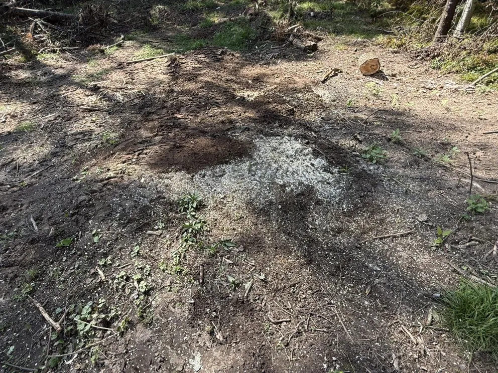 Professional yard cleanup service in Harshaw, WI - Ruff Cut Lawn And Property Services
