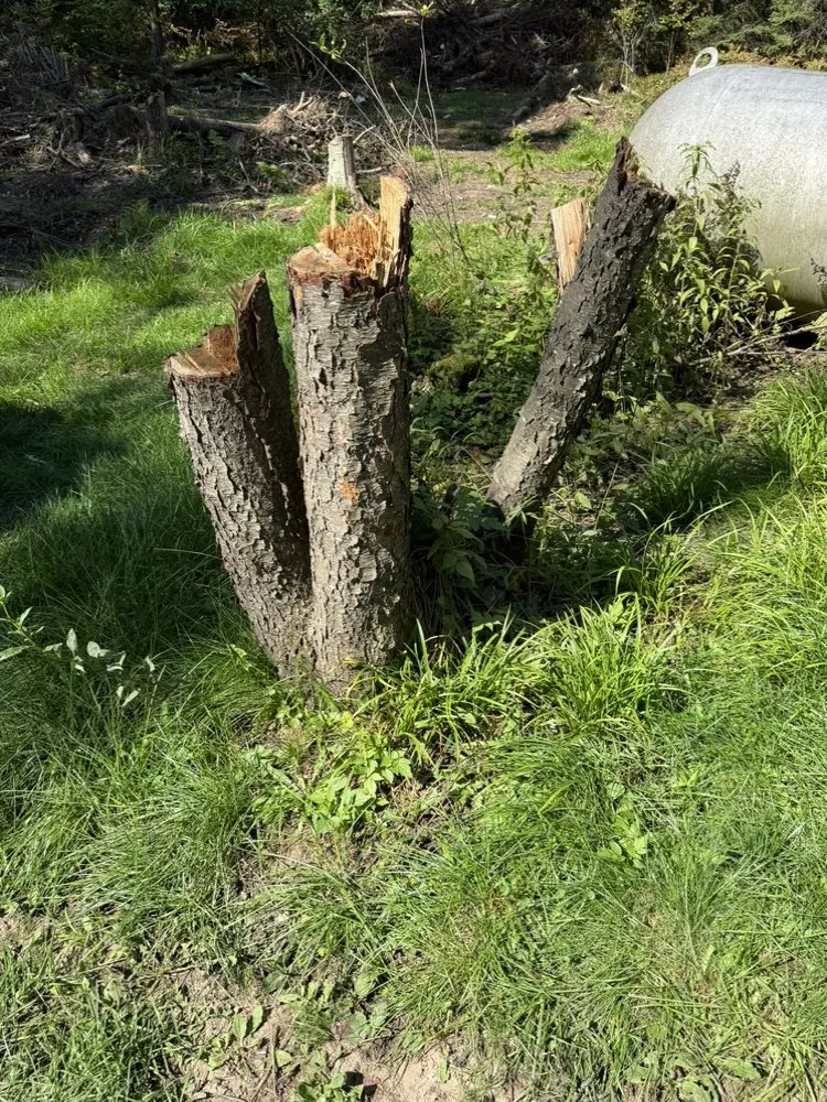 Reliable landscaping services for residential properties in Harshaw, WI by Ruff Cut Lawn And Property Services