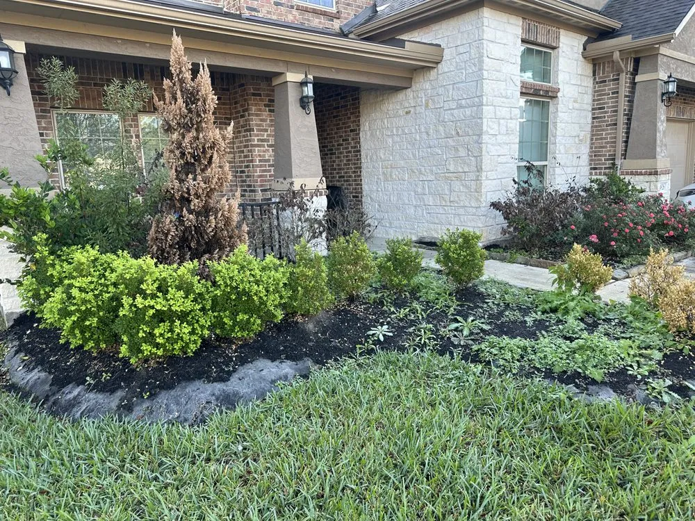 Custom yard maintenance for outdoor upgrades across Katy, TX - Ruff Dawgz Landscaping
