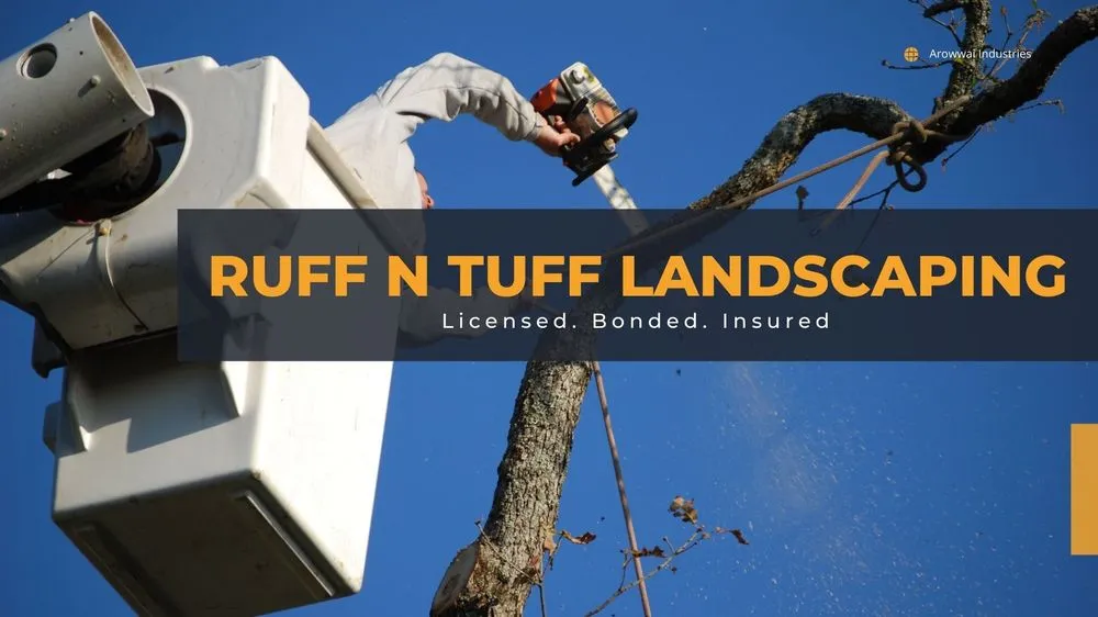 Top-rated landscaping services for homes across Hemet, CA - Ruff N Tuff Landscaping