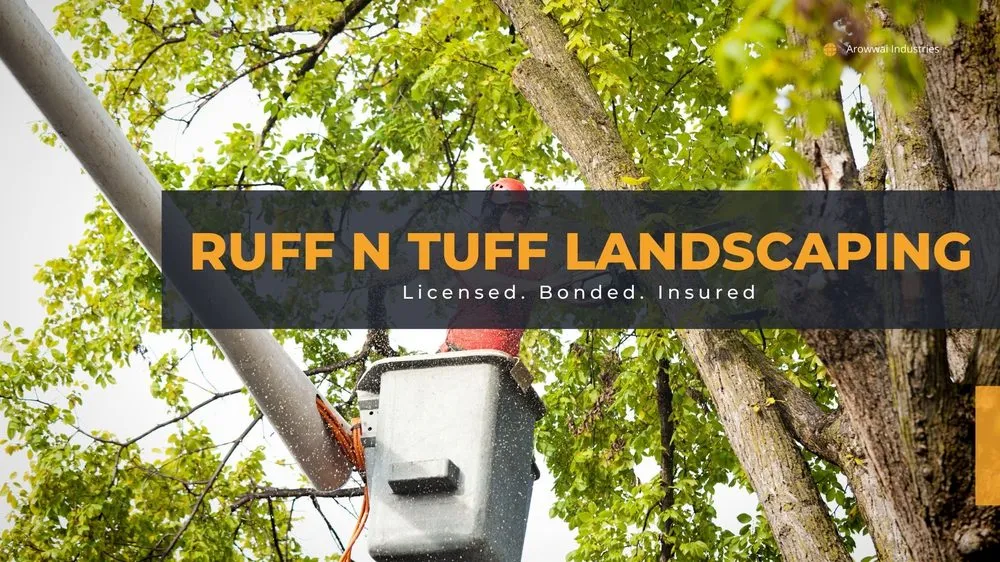 Reliable landscape installation for year-round maintenance across Hemet, CA - Ruff N Tuff Landscaping